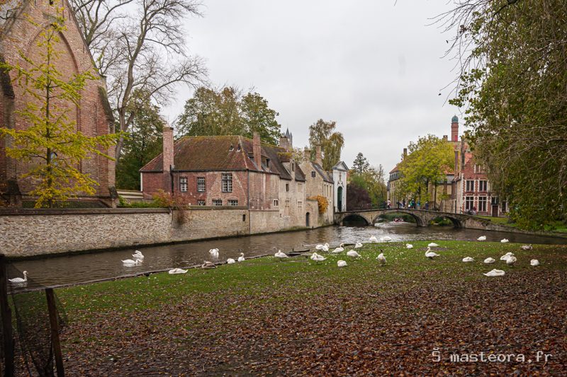 Bruges, photo 9