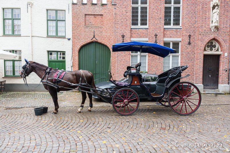 Bruges, photo 11